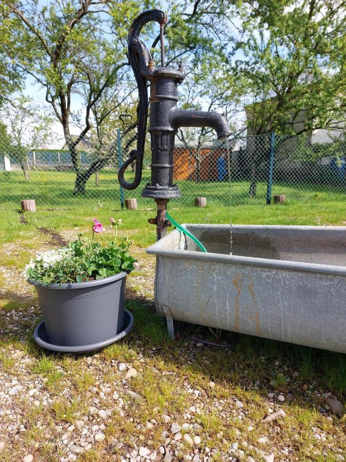 Gite Au Pommier Fleuri Et Son "Appart" Independant Drusenheim Eksteriør bilde