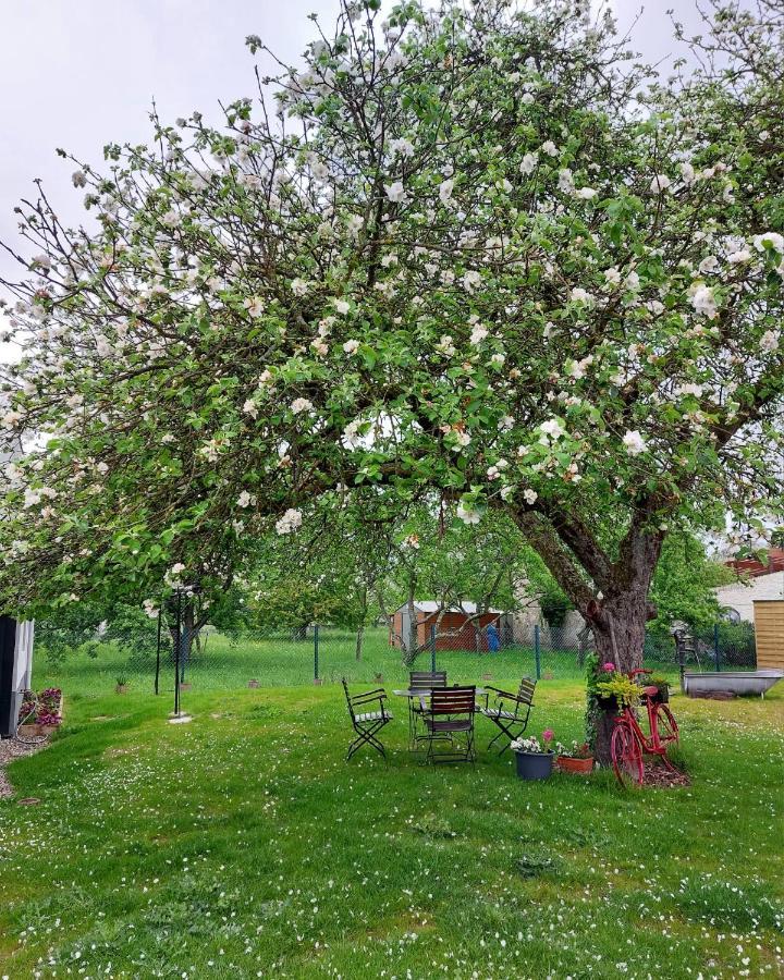 Gite Au Pommier Fleuri Et Son "Appart" Independant Drusenheim Eksteriør bilde