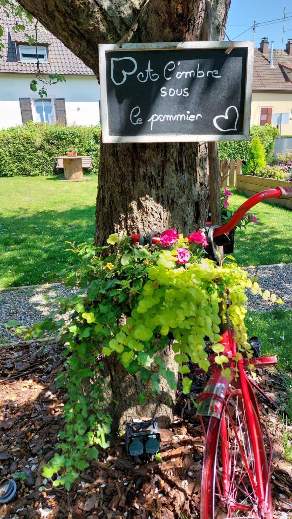 Gite Au Pommier Fleuri Et Son "Appart" Independant Drusenheim Eksteriør bilde